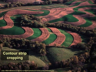 Contour strip
   cropping


http://allamakeeswcd.org/wp-content/uploads/2010/04/contour-farming.jpg
 
