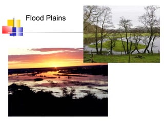 Flood Plains
 