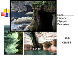 Cape
Flattery,
Olympic
Peninsula




    Sea
   caves
 