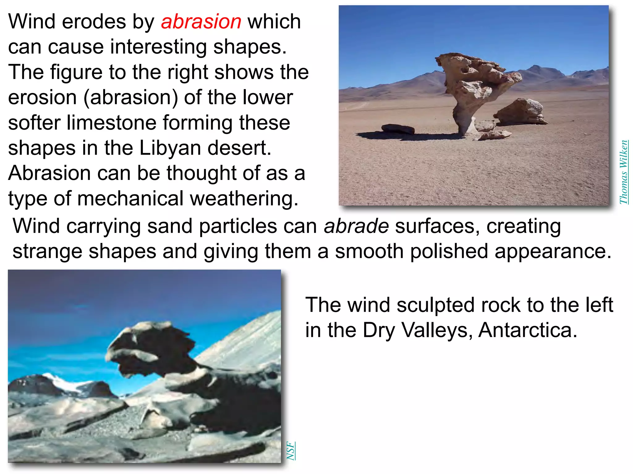 Wind erodes by abrasion which
can cause interesting shapes.
The figure to the right shows the
erosion (abrasion) of the lower
softer limestone forming these
shapes in the Libyan desert.
Abrasion can be thought of as a
type of mechanical weathering.
Wind carrying sand particles can abrade surfaces, creating
strange shapes and giving them a smooth polished appearance.
The wind sculpted rock to the left
in the Dry Valleys, Antarctica.
Thomas
Wilken
NSF
 