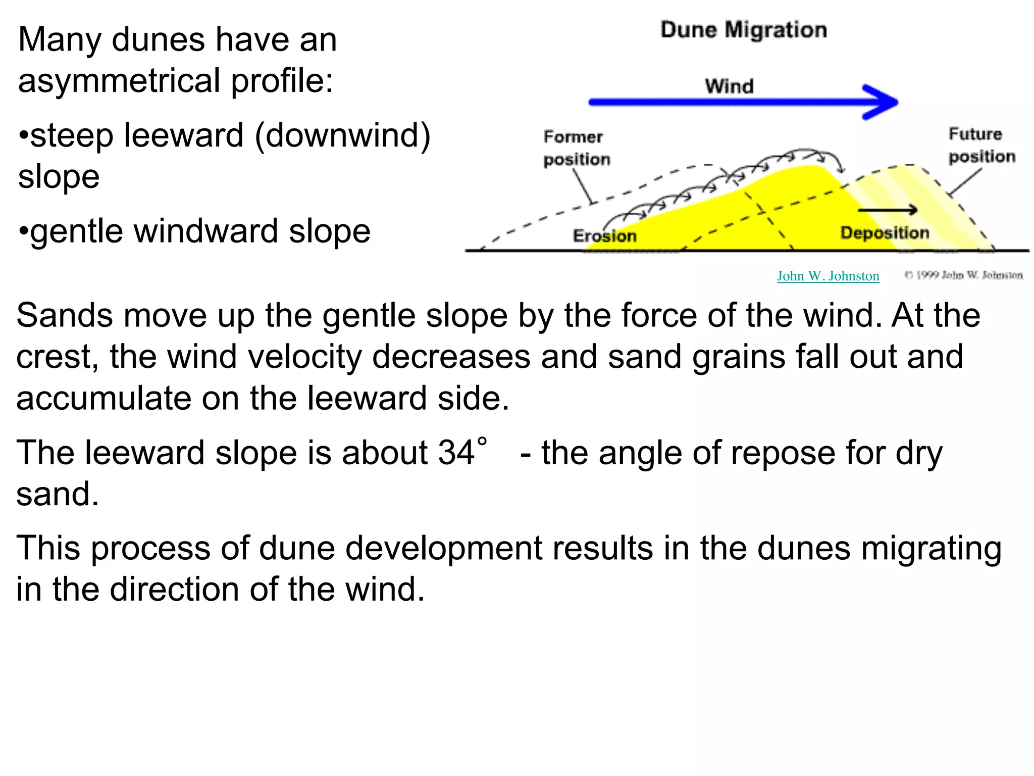 Many dunes have an
asymmetrical profile:
•steep leeward (downwind)
slope
•gentle windward slope
Sands move up the gentle slope by the force of the wind. At the
crest, the wind velocity decreases and sand grains fall out and
accumulate on the leeward side.
The leeward slope is about 34° - the angle of repose for dry
sand.
This process of dune development results in the dunes migrating
in the direction of the wind.
John W. Johnston
 