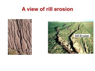 Slope Rilling Comprehensive Overview of Soil Erosion: Types, Causes, and Control ...