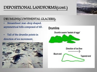 DEPOSITIONAL LANDFORMS(cont.)
DRUMLINS(CONTINENTAL GLACIERS):
• Streamlined ,tear-drop shaped,
asymmetrical hills composed of till .
• Tail of the drumlin points in
direction of ice movement.
 