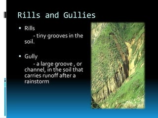 Rills and Gullies
 Rills
- tiny grooves in the
soil.
 Gully
- a large groove , or
channel, in the soil that
carries runoff after a
rainstorm
 
