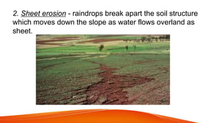 2. Sheet erosion - raindrops break apart the soil structure
which moves down the slope as water flows overland as
sheet.
 