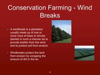 Conservation Farming - Wind 
Breaks 
• A windbreak is a plantation 
usually made up of one or 
more rows of trees or shrubs 
planted in such a manner as to 
provide shelter from the wind 
and to protect soil from erosion 
• Windbreaks protect the land 
from erosion by congaing the 
amount of dirt in the air. 
14 
 