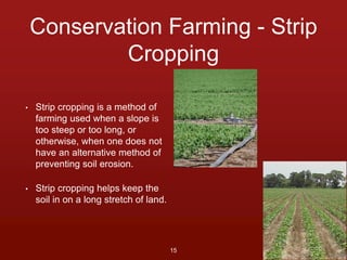 Conservation Farming - Strip 
Cropping 
• Strip cropping is a method of 
farming used when a slope is 
too steep or too long, or 
otherwise, when one does not 
have an alternative method of 
preventing soil erosion. 
• Strip cropping helps keep the 
soil in on a long stretch of land. 
15 
 