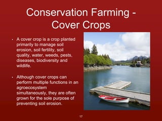Conservation Farming - 
Cover Crops 
• A cover crop is a crop planted 
primarily to manage soil 
erosion, soil fertility, soil 
quality, water, weeds, pests, 
diseases, biodiversity and 
wildlife. 
• Although cover crops can 
perform multiple functions in an 
agroecosystem 
simultaneously, they are often 
grown for the sole purpose of 
preventing soil erosion. 
17 
 