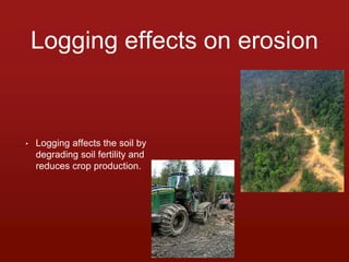 Logging effects on erosion 
• Logging affects the soil by 
degrading soil fertility and 
reduces crop production. 
9 
 