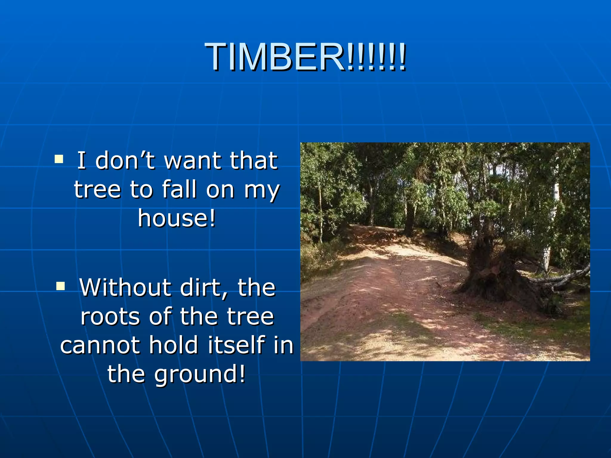TIMBER!!!!!!

   I don’t want that
    tree to fall on my
          house!

Without dirt, the
  roots of the tree
cannot hold itself in
    the ground!
 