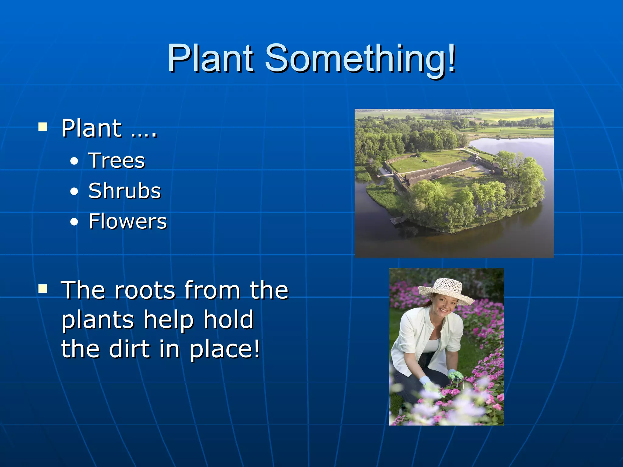 Plant Something!
   Plant ….
    • Trees
    • Shrubs
    • Flowers


   The roots from the
    plants help hold
    the dirt in place!
 
