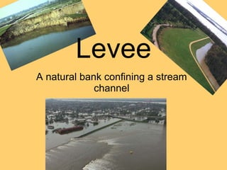 Levee A natural bank confining a stream channel 