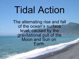 Tidal Action The alternating rise and fall of the ocean’s surface level, caused by the gravitational pull of the Moon and Sun on  Earth. 