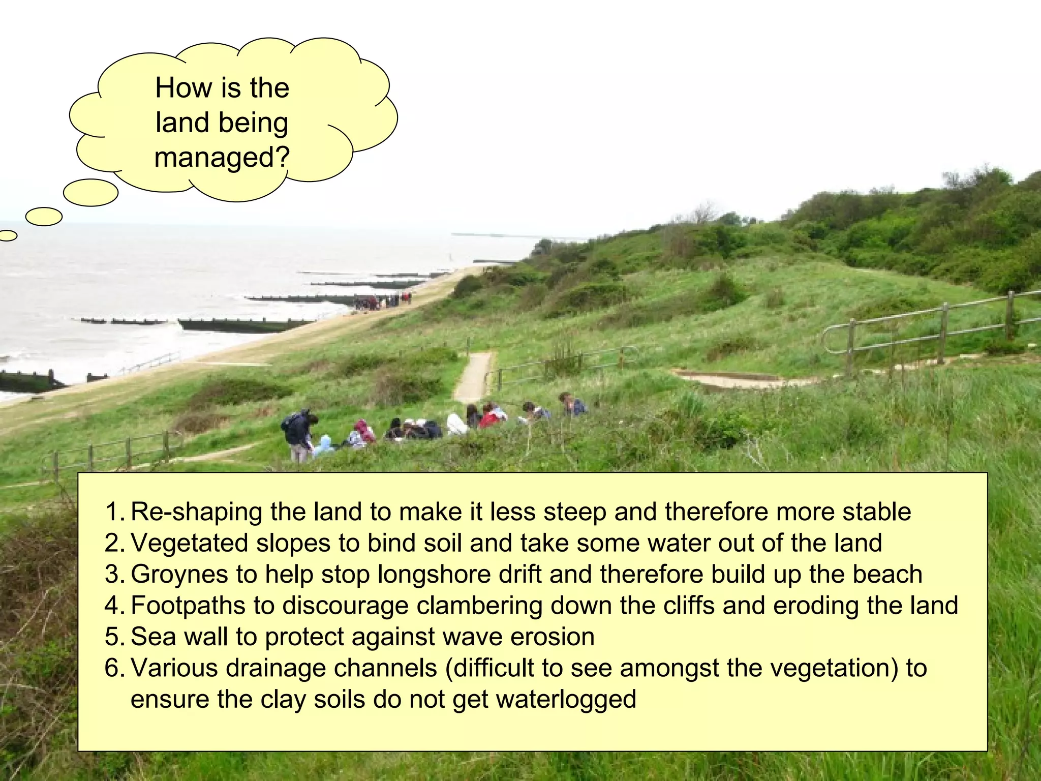 How is the land being managed? Re-shaping the land to make it less steep and therefore more stable Vegetated slopes to bind soil and take some water out of the land Groynes to help stop longshore drift and therefore build up the beach Footpaths to discourage clambering down the cliffs and eroding the land Sea wall to protect against wave erosion Various drainage channels (difficult to see amongst the vegetation) to ensure the clay soils do not get waterlogged  