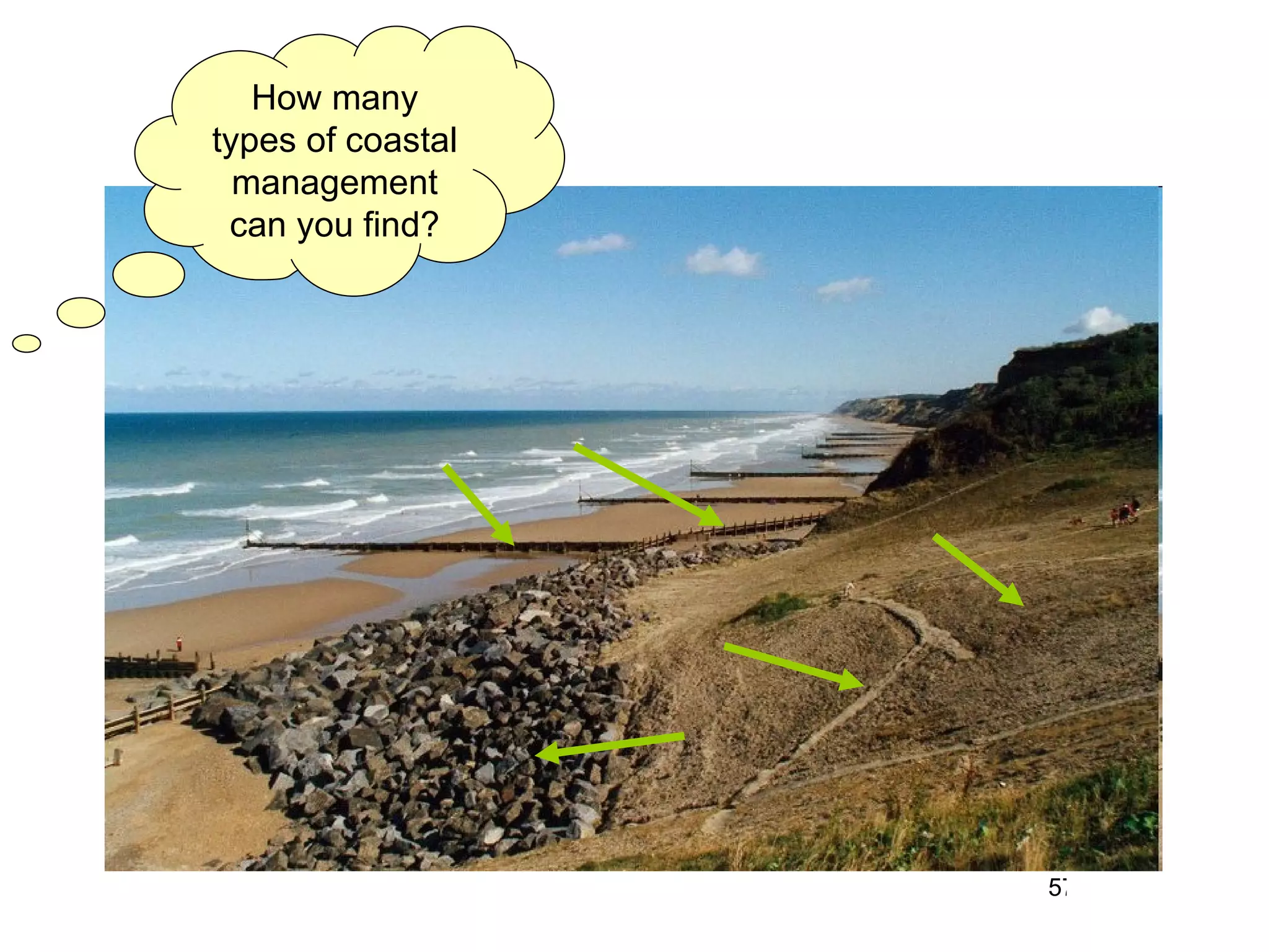 How many types of coastal management can you find? 