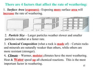 There are 4 factors that affect the rate of weathering:
1. Surface Area (exposure) - Exposing more surface area will
increase the rate of weathering.




 2. Particle Size – Larger particles weather slower and smaller
 particles weather at a faster rate.
3. Chemical Composition (what a rock is made of) – Certain rocks
and minerals are naturally weaker than others, while others are
more resistant (stronger).
4. Climate – Warmer, moister climates have the most weathering.
Heat & Water speed up all chemical reactions. This is the most
important factor in weathering.                                 17
 