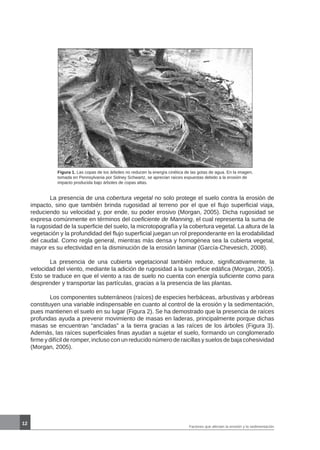 12
Figura 1. Las copas de los árboles no reducen la energía cinética de las gotas de agua. En la imagen,
tomada en Pennsylvania por Sidney Schwartz, se aprecian raíces expuestas debido a la erosión de
impacto producida bajo árboles de copas altas.
	 La presencia de una cobertura vegetal no solo protege el suelo contra la erosión de
impacto, sino que también brinda rugosidad al terreno por el que el flujo superficial viaja,
reduciendo su velocidad y, por ende, su poder erosivo (Morgan, 2005). Dicha rugosidad se
expresa comúnmente en términos del coeficiente de Manning, el cual representa la suma de
la rugosidad de la superficie del suelo, la microtopografía y la cobertura vegetal. La altura de la
vegetación y la profundidad del flujo superficial juegan un rol preponderante en la erodabilidad
del caudal. Como regla general, mientras más densa y homogénea sea la cubierta vegetal,
mayor es su efectividad en la disminución de la erosión laminar (García-Chevesich, 2008).
	 La presencia de una cubierta vegetacional también reduce, significativamente, la
velocidad del viento, mediante la adición de rugosidad a la superficie edáfica (Morgan, 2005).
Esto se traduce en que el viento a ras de suelo no cuenta con energía suficiente como para
desprender y transportar las partículas, gracias a la presencia de las plantas.
	 Los componentes subterráneos (raíces) de especies herbáceas, arbustivas y arbóreas
constituyen una variable indispensable en cuanto al control de la erosión y la sedimentación,
pues mantienen el suelo en su lugar (Figura 2). Se ha demostrado que la presencia de raíces
profundas ayuda a prevenir movimiento de masas en laderas, principalmente porque dichas
masas se encuentran “ancladas” a la tierra gracias a las raíces de los árboles (Figura 3).
Además, las raíces superficiales finas ayudan a sujetar el suelo, formando un conglomerado
firme y difícil de romper, incluso con un reducido número de raicillas y suelos de baja cohesividad
(Morgan, 2005).
Factores que afectan la erosión y la sedimentación
 