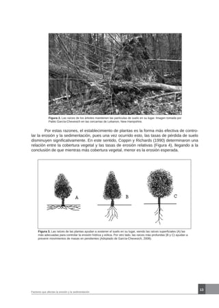 13
Figura 2. Las raíces de los árboles mantienen las partículas de suelo en su lugar. Imagen tomada por
Pablo García-Chevesich en las cercanías de Lebanon, New Hampshire.
	 Por estas razones, el establecimiento de plantas es la forma más efectiva de contro-
lar la erosión y la sedimentación, pues una vez ocurrido esto, las tasas de pérdida de suelo
disminuyen significativamente. En este sentido, Coppin y Richards (1990) determinaron una
relación entre la cobertura vegetal y las tasas de erosión relativas (Figura 4), llegando a la
conclusión de que mientras más cobertura vegetal, menor es la erosión esperada.
Figura 3. Las raíces de las plantas ayudan a sostener el suelo en su lugar, siendo las raíces superficiales (A) las
más adecuadas para controlar la erosión hídrica y eólica. Por otro lado, las raíces más profundas (B y C) ayudan a
prevenir movimientos de masas en pendientes (Adoptado de García-Chevesich, 2008).
Factores que afectan la erosión y la sedimentación
 