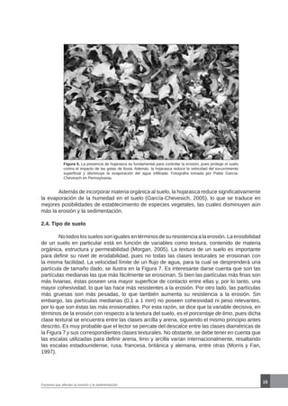 15
Figura 5. La presencia de hojarasca es fundamental para controlar la erosión, pues protege el suelo
contra el impacto de las gotas de lluvia. Además, la hojarasca reduce la velocidad del escurrimiento
superficial y disminuye la evaporación del agua infiltrada. Fotografía tomada por Pablo García-
Chevesich en Pennsylvania.
	 Además de incorporar materia orgánica al suelo, la hojarasca reduce significativamente
la evaporación de la humedad en el suelo (García-Chevesich, 2005), lo que se traduce en
mejores posibilidades de establecimiento de especies vegetales, las cuales disminuyen aún
más la erosión y la sedimentación.
2.4. Tipo de suelo
	 No todos los suelos son iguales en términos de su resistencia a la erosión. La erosibilidad
de un suelo en particular está en función de variables como textura, contenido de materia
orgánica, estructura y permeabilidad (Morgan, 2005). La textura de un suelo es importante
para definir su nivel de erodabilidad, pues no todas las clases texturales se erosionan con
la misma facilidad. La velocidad límite de un flujo de agua, para la cual se desprenderá una
partícula de tamaño dado, se ilustra en la Figura 7. Es interesante darse cuenta que son las
partículas medianas las que más fácilmente se erosionan. Si bien las partículas más finas son
más livianas, éstas poseen una mayor superficie de contacto entre ellas y, por lo tanto, una
mayor cohesividad, lo que las hace más resistentes a la erosión. Por otro lado, las partículas
más gruesas son más pesadas, lo que también aumenta su resistencia a la erosión. Sin
embargo, las partículas medianas (0,1 a 1 mm) no poseen cohesividad ni peso relevantes,
por lo que son éstas las más erosionables. Por esta razón, se dice que la variable decisiva, en
términos de la erosión con respecto a la textura del suelo, es el porcentaje de limo, pues dicha
clase textural se encuentra entre las clases arcilla y arena, siguiendo el mismo principio antes
descrito. Es muy probable que el lector se percate del descalce entre las clases diamétricas de
la Figura 7 y sus correspondientes clases texturales. No obstante, se debe tener en cuenta que
las escalas utilizadas para definir arena, limo y arcilla varían internacionalmente, resaltando
las escalas estadounidense, rusa, francesa, británica y alemana, entre otras (Morris y Fan,
1997).
Factores que afectan la erosión y la sedimentación
 