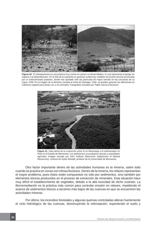 20
Figura 10. El sobrepastoreo es una práctica muy común en países no desarrollados, lo cual representa el pasaje sin
regreso a la desertificación. En la foto de la izquierda se aprecian evidencias notables de erosión laminar provocada
por un indiscriminado pastoreo, donde han quedado sólo las partículas de mayor tamaño en las cercanías de La
Ligua, Chile. En la imagen de la derecha, tomada al norte de Santiago, Chile, se pueden apreciar las diferencias en
cobertura vegetal para áreas con y sin animales. Fotografías tomadas por Pablo García-Chevesich.
Figura 11. Vista aérea de la conjunción entre el río Mississippi y el sedimentado río
Root en el Estado de Minnesota. Los sedimentos se produjeron gracias a actividades
agrícolas. Imagen tomada por John Sullivan (Wisconsin Department of Natural
Resources), cortesía de Gyles Randall, profesor de la Universidad de Minnesota.
	 Otro factor importante dentro de las actividades humanas es la minería, sobre todo
cuando se practica en zonas con climas lluviosos. Dentro de la minería, los relaves representan
el mayor problema, pues éstos están compuestos no sólo por sedimentos, sino también por
elementos tóxicos producidos en el proceso de extracción de minerales. Esta situación hace
muy difícil el establecimiento de vegetales, debido a la alta toxicidad de dicho sustrato. La
fitorremediación es la práctica más común para controlar erosión en relaves, impidiendo el
avance de sedimentos tóxicos a sectores más bajos de las cuencas en que se encuentren las
actividades mineras.
	 Por último, los incendios forestales y algunas quemas controladas alteran fuertemente
el ciclo hidrológico de las cuencas, disminuyendo la intercepción, exponiendo el suelo y
Factores que afectan la erosión y la sedimentación
 