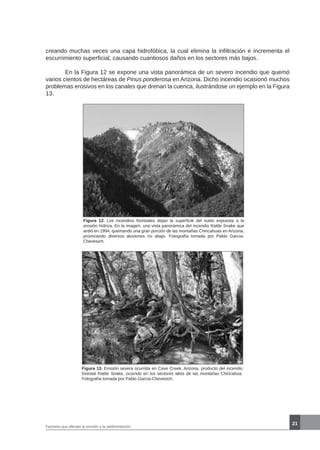 21
Figura 12. Los incendios forestales dejan la superficie del suelo expuesta a la
erosión hídrica. En la imagen, una vista panorámica del incendio Rattle Snake que
ardió en 1994, quemando una gran porción de las montañas Chiricahuas en Arizona,
provocando diversos aluviones río abajo. Fotografía tomada por Pablo García-
Chevesich.
creando muchas veces una capa hidrofóbica, la cual elimina la infiltración e incrementa el
escurrimiento superficial, causando cuantiosos daños en los sectores más bajos.
	 En la Figura 12 se expone una vista panorámica de un severo incendio que quemó
varios cientos de hectáreas de Pinus ponderosa en Arizona. Dicho incendio ocasionó muchos
problemas erosivos en los canales que drenan la cuenca, ilustrándose un ejemplo en la Figura
13.
Figura 13. Erosión severa ocurrida en Cave Creek, Arizona, producto del incendio
forestal Rattle Snake, ocurrido en los sectores altos de las montañas Chiricahua.
Fotografía tomada por Pablo García-Chevesich.
Factores que afectan la erosión y la sedimentación
 