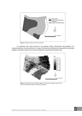31
Aplicación de la usle en presencia de incertidumbre: consecuencias y mitigación
Figura 4. Mapa de suelos del terreno analizado.
	 La cobertura del suelo actual es de pastizal exótico (Brachiaria decumbens), sin
ninguna práctica conservacionista. La Figura 5 presenta la distribución espacial de la biomasa
vegetal, estimado a partir de la razón de bandas espectrales (ecuación 10).
Figura 5. Distribución de la biomasa vegetal en el terreno, estimada a partir de la
razón de bandas espectrales de imágenes satelitales.
 