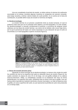 42
Metodologías de medición de la erosión y sedimentación
Figura 5. La dendrocronología es una ciencia muy útil en la estimación de la variación
temporal de las tasas de erosión laminar. En la imagen, las líneas punteadas indican una
estimación del nivel topográfico antiguo, en comparación al actual. Fotografía tomada en
Maryland, por Pablo García-Chevesich.
v. Clavos de erosión (erosion pins)
	 Siguiendo el mismo principio de la dendrocronología, la manera más simple de medir
los cambios de nivel en la superficie del suelo es utilizando clavos de erosión (Figura 6), los
cuales consisten en clavos de unos 20 cm de largo, con una golilla soldada en su cabeza
(García-Chevesich, 2005). La metodología consiste en la instalación del clavo en forma
perpendicular a la superficie del suelo, quedando ésta al mismo nivel que la golilla. Una vez
transcurrido el período de medición (tormenta o lluvias invernales), se mide la distancia entre
la golilla y la nueva superficie del suelo, la cual representa la pérdida de suelo neta producida
en un tiempo dado.
	 Una vez completado el período de estudio, se debe estimar el volumen de sedimento
acumulado en la trampa, tomando algunas muestras en recipientes de volumen conocido,
para luego secarlas y estimar valores totales de suelo perdido. Si se cuenta con el área de
contribución, es posible definir tasas de erosión en términos de Mg/ha.
iv. Dendrocronología
	 La erosión laminar es un proceso usualmente lento (a escala humana), el cual no
podemos notar más que con el contraste entre objetos y el nivel topográfico. En este sentido,
los dendrocronólogos a menudo correlacionan la posición y ocurrencia de antiguas raíces
arbóreas con las tasas de erosión laminar. Las raíces de los árboles sólo crecen bajo tierra,
por lo que la presencia de fustes con raíces expuestas es una indicación de que el suelo se
encontraba a un nivel topográfico superior al actual (Figura 5)
 