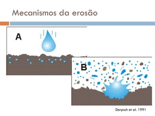 Mecanismos da erosão

Derpsch et al. 1991

 