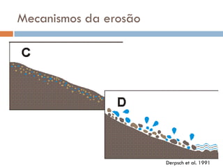 Mecanismos da erosão

Derpsch et al. 1991

 