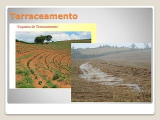 Terraceamento
 