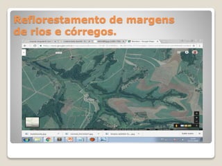 Reflorestamento de margens
de rios e córregos.
 