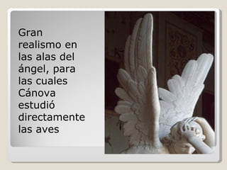 Gran realismo en las alas del ángel, para las cuales Cánova estudió directamente las aves