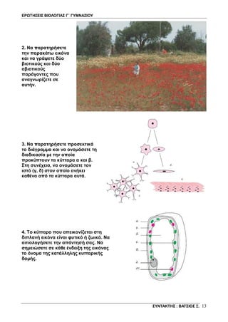 ΕΡΩΤΗΣΕΙΣ ΒΙΟΛΟΓΙΑΣ Γ΄ ΓΥΜΝΑΣΙΟΥ
ΣΥΝΤΑΚΤΗΣ : ΒΑΤΣΙΟΣ Ξ. 13
2. Να παρατηρήσετε
την παρακάτω εικόνα
και να γράψετε δύο
βιοτικούς και δύο
αβιοτικούς
παράγοντες που
αναγνωρίζετε σε
αυτήν.
3. Να παρατηρήσετε προσεκτικά
το διάγραμμα και να ονομάσετε τη
διαδικασία με την οποία
προκύπτουν τα κύτταρα α και β.
Στη συνέχεια, να ονομάσετε τον
ιστό (γ, δ) στον οποίο ανήκει
καθένα από τα κύτταρα αυτά.
4. Το κύτταρο που απεικονίζεται στη
διπλανή εικόνα είναι φυτικό ή ζωικό. Να
αιτιολογήσετε την απάντησή σας. Να
σημειώσετε σε κάθε ένδειξη της εικόνας
το όνομα της κατάλληλης κυτταρικής
δομής.
 