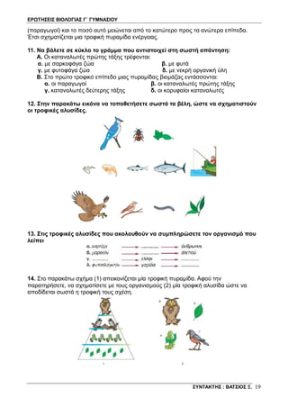 ΕΡΩΤΗΣΕΙΣ ΒΙΟΛΟΓΙΑΣ Γ΄ ΓΥΜΝΑΣΙΟΥ
ΣΥΝΤΑΚΤΗΣ : ΒΑΤΣΙΟΣ Ξ. 19
(παραγωγοί) και το ποσό αυτό μειώνεται από το κατώτερο προς τα ανώτερα επίπεδα.
Έτσι σχηματίζεται μια τροφική πυραμίδα ενέργειας.
11. Να βάλετε σε κύκλο το γράμμα που αντιστοιχεί στη σωστή απάντηση:
Α. Οι καταναλωτές πρώτης τάξης τρέφονται:
α. με σαρκοφάγα ζώα β. με φυτά
γ. με φυτοφάγα ζώα δ. με νεκρή οργανική ύλη
Β. Στο πρώτο τροφικό επίπεδο μιας πυραμίδας βιομάζας εντάσσονται:
α. οι παραγωγοί β. οι καταναλωτές πρώτης τάξης
γ. καταναλωτές δεύτερης τάξης δ. οι κορυφαίοι καταναλωτές
12. Στην παρακάτω εικόνα να τοποθετήσετε σωστά τα βέλη, ώστε να σχηματιστούν
οι τροφικές αλυσίδες.
13. Στις τροφικές αλυσίδες που ακολουθούν να συμπληρώσετε τον οργανισμό που
λείπει
14. Στο παρακάτω σχήμα (1) απεικονίζεται μία τροφική πυραμίδα. Αφού την
παρατηρήσετε, να σχηματίσετε με τους οργανισμούς (2) μία τροφική αλυσίδα ώστε να
αποδίδεται σωστά η τροφική τους σχέση.
 