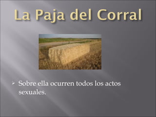 

Sobre ella ocurren todos los actos
sexuales.

 