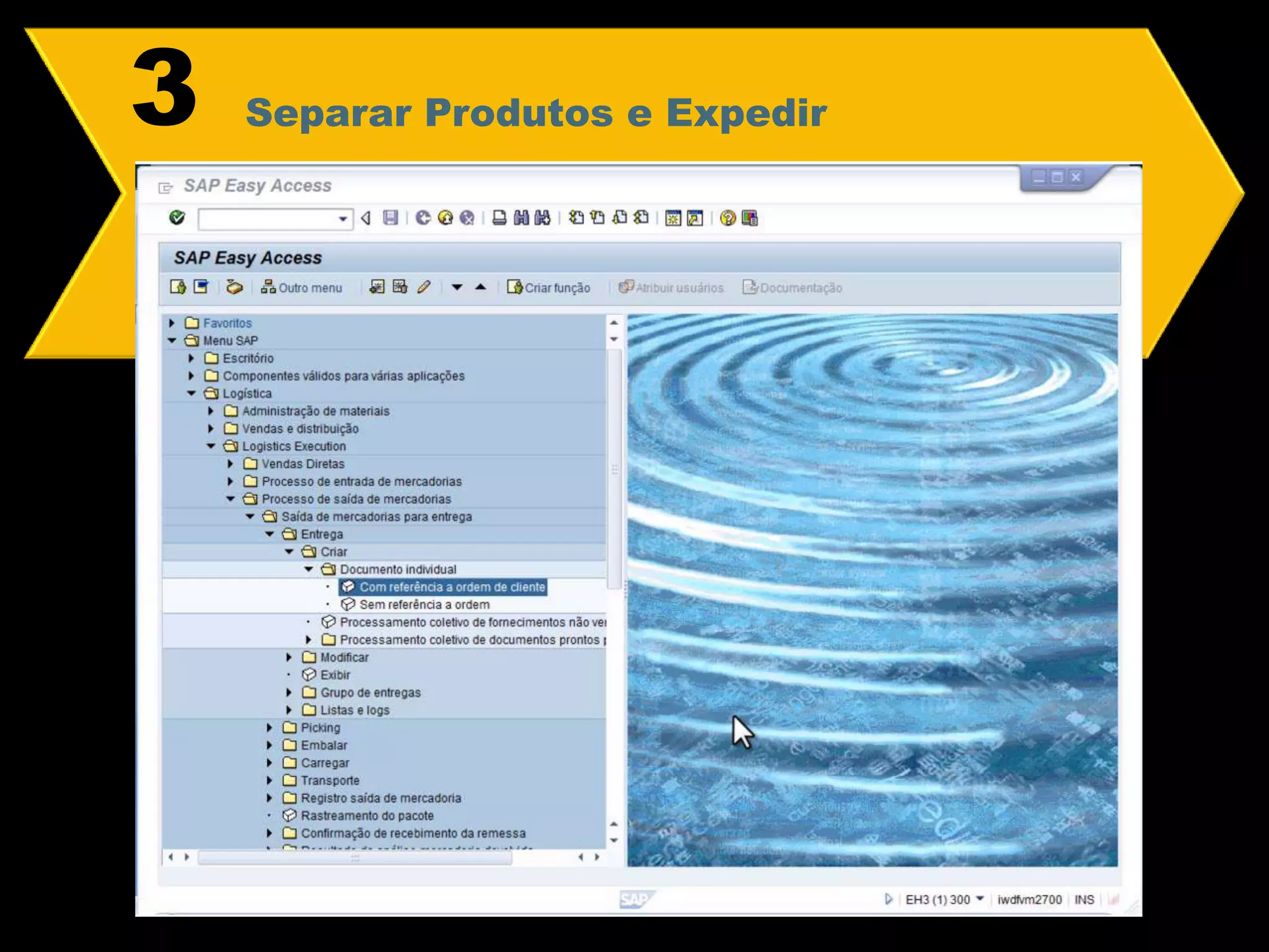 Alguns desenvolvedores de ERP© SAP 2008 / Page 17Fonte: https://www.totvs.com Empresa de software, inovação, relacionamento e suporte à gestão. O nome TOTVS vem do latim e significa tudo, todos, apropriado para uma companhia que fornece soluções em 10 segmentos para todos os portes e tipos de empresa.  Tem mais de 25,2 mil clientes ativos, conta com o apoio de 9 mil participantes e está presente em 23 países.