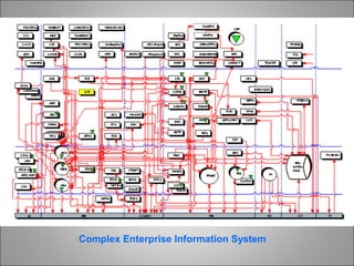 Complex Enterprise Information System
 