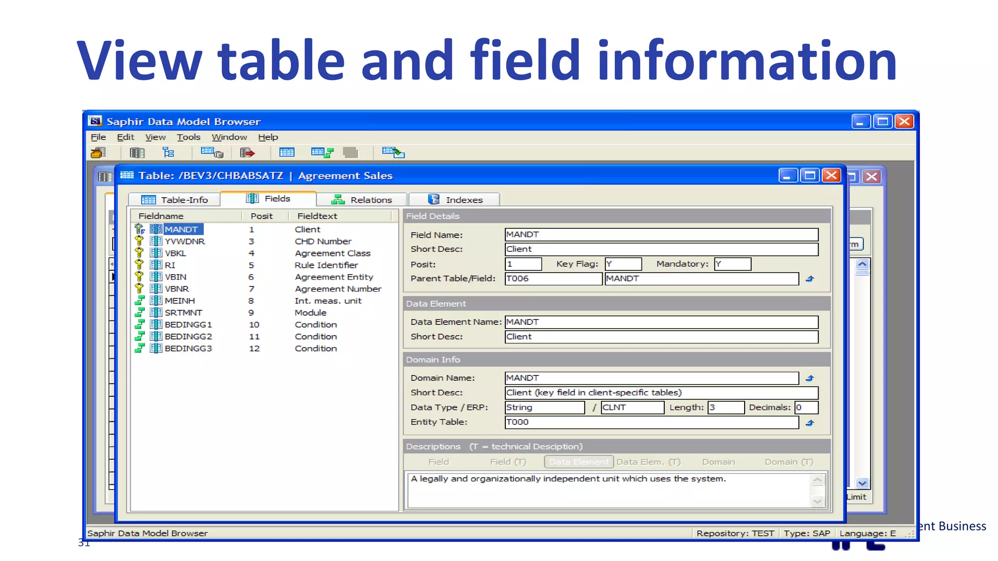 View table and field information