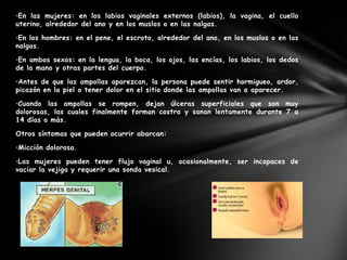 •En las mujeres: en los labios vaginales externos (labios), la vagina, el cuello
uterino, alrededor del ano y en los muslos o en las nalgas.

•En los hombres: en el pene, el escroto, alrededor del ano, en los muslos o en las
nalgas.

•En ambos sexos: en la lengua, la boca, los ojos, las encías, los labios, los dedos
de la mano y otras partes del cuerpo.

•Antes de que las ampollas aparezcan, la persona puede sentir hormigueo, ardor,
picazón en la piel o tener dolor en el sitio donde las ampollas van a aparecer.

•Cuando las ampollas se rompen, dejan úlceras superficiales que son muy
dolorosas, las cuales finalmente forman costra y sanan lentamente durante 7 a
14 días o más.

Otros síntomas que pueden ocurrir abarcan:

•Micción dolorosa.

•Las mujeres pueden tener flujo vaginal u, ocasionalmente, ser incapaces de
vaciar la vejiga y requerir una sonda vesical.
 