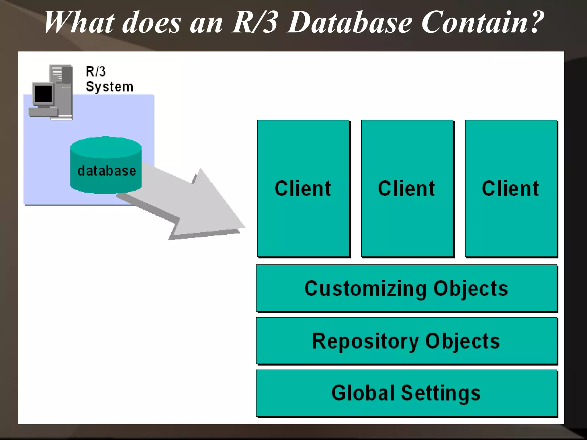 What does an R/3 Database Contain?
 