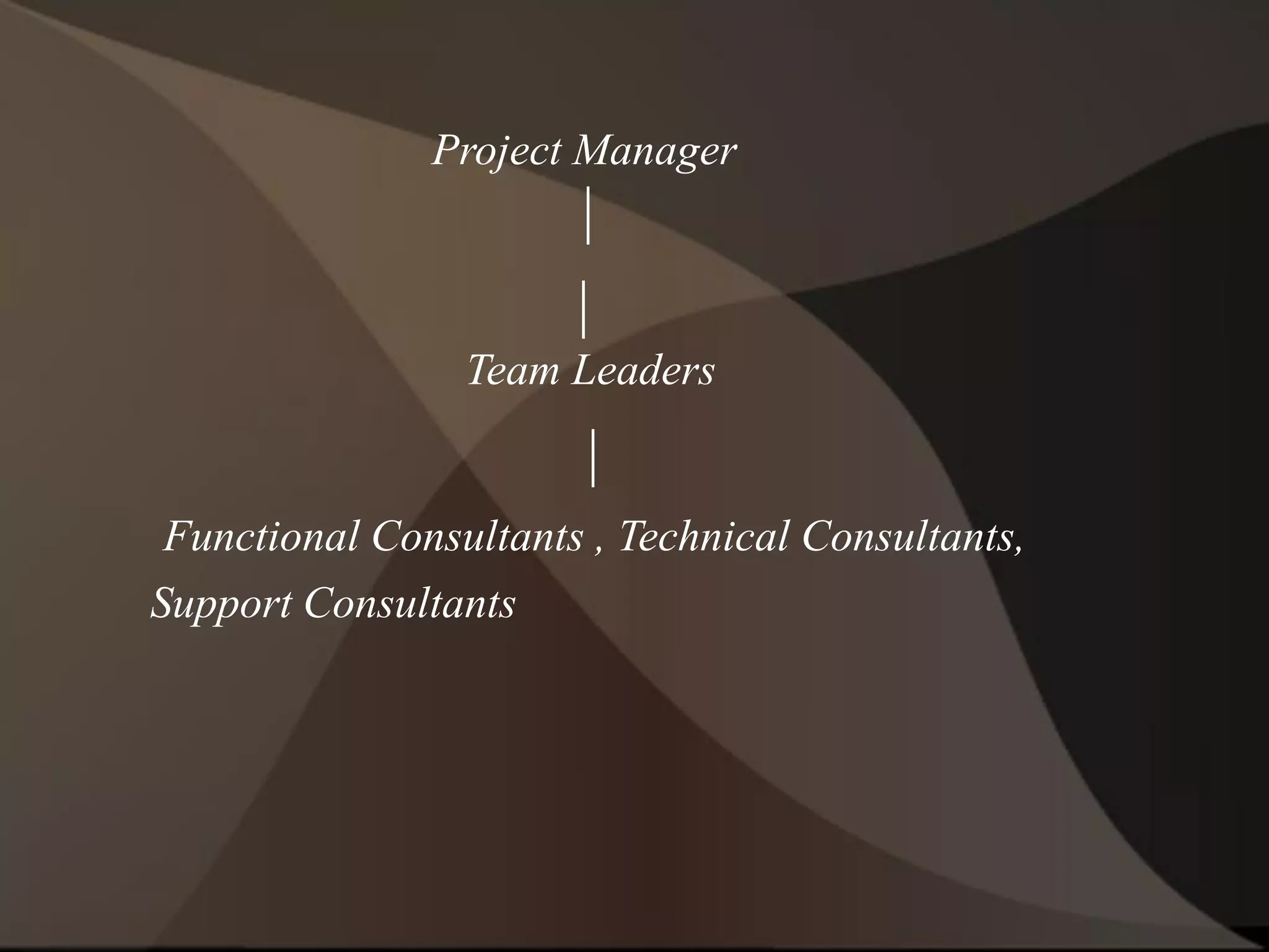 Project Manager
|
|
Team Leaders
|
Functional Consultants , Technical Consultants,
Support Consultants
 