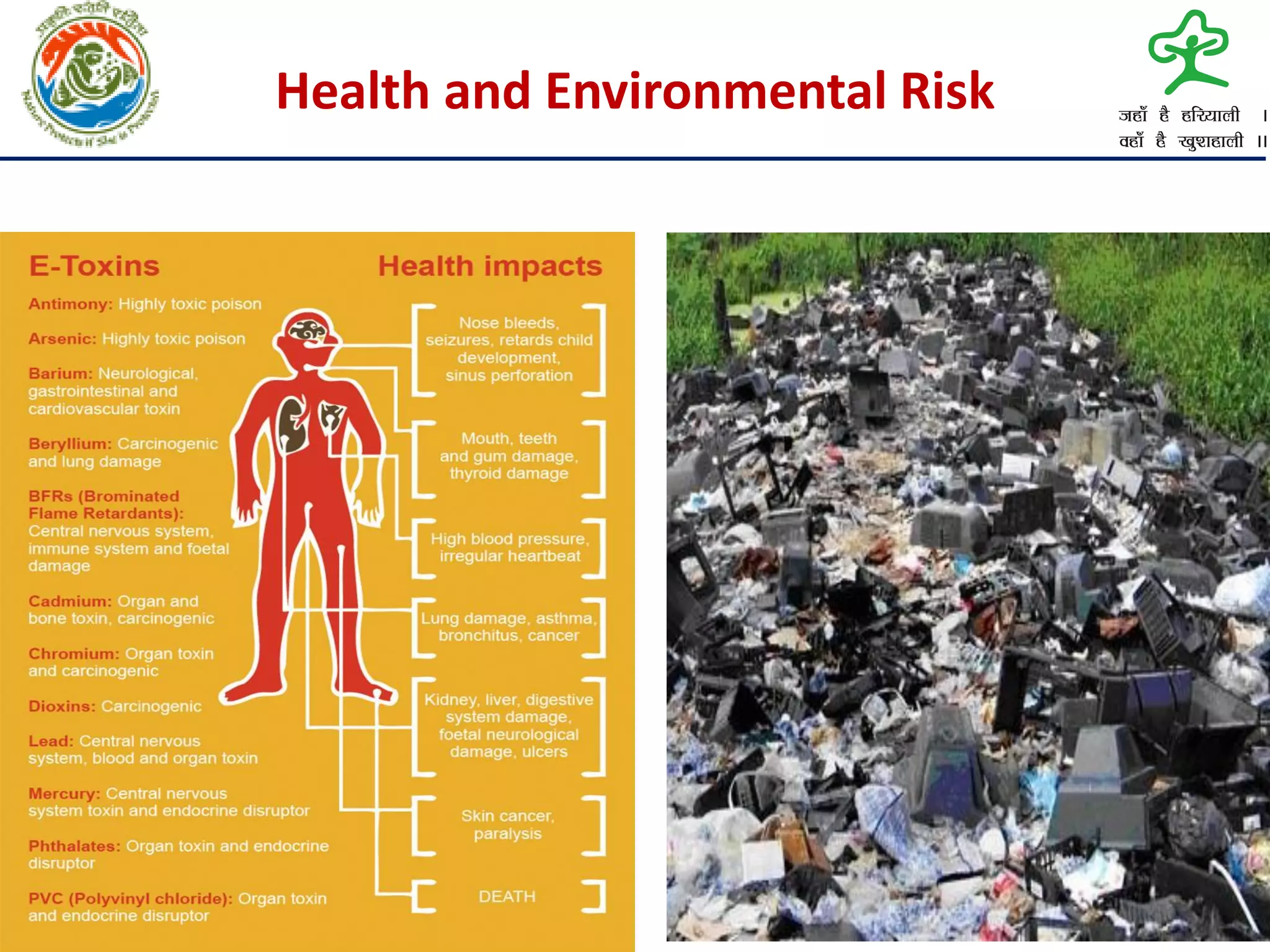 Health and Environmental Risk
 