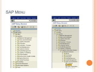 SAP MENU
 