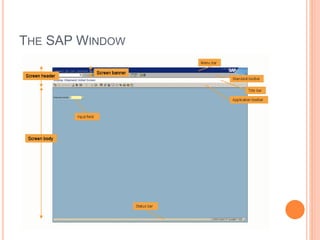 THE SAP WINDOW
 