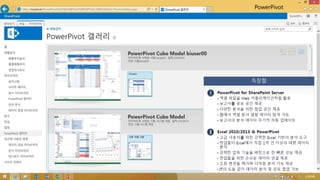 PowerPivot 
 