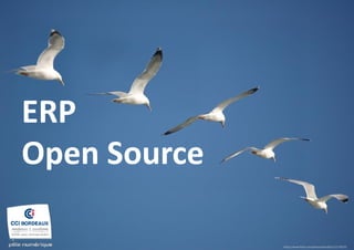 ERP Open Source 
https://www.flickr.com/photos/dsevilla/112179223/ 
10/2014  