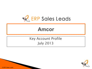 Key Account Profile
July 2013

© ERP Sales Leads

 