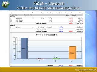 PSGA – Lavoura Análise rentabilidade fazenda/campo/cultura www.prodix.com.br 