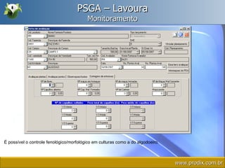 PSGA – Lavoura Monitoramento É possível o controle fenológico/morfológico em culturas como a do algodoeiro. www.prodix.com.br 