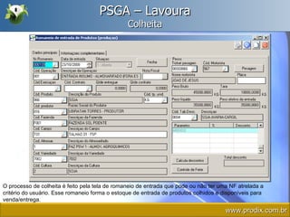 PSGA – Lavoura Colheita O processo de colheita é feito pela tela de romaneio de entrada que pode ou não ter uma NF atrelada a critério do usuário. Esse romaneio forma o estoque de entrada de produtos colhidos e disponíveis para venda/entrega. www.prodix.com.br 